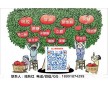 瓊脂 藥用級(jí)瓊脂 國內(nèi)新品