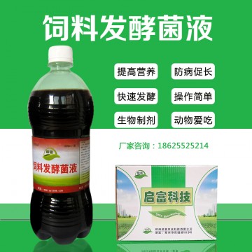 啤酒糟喂豬用什么生物菌發(fā)酵劑發(fā)酵好