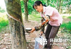 今日天然橡膠走勢(shì)分析